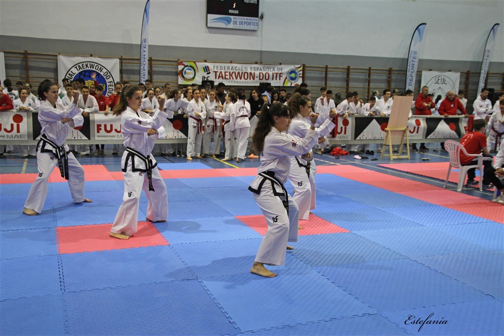 Copa Seul 2018 (306).jpg